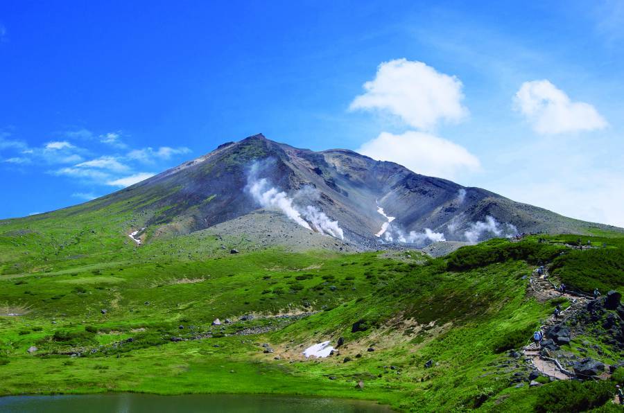 不驚擾被攝者，才能拍下最「自然」的生態攝影作品（圖為在樹洞中酣睡的領角鴞親子）
